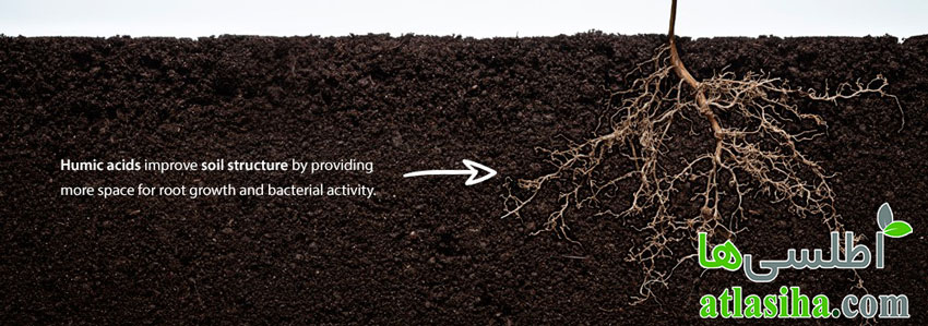 اثرات اسیدهیومیک بر بافت خاک