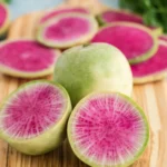 بذر ترب هندوانه ای