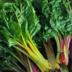 بذر برگ چغندر رنگی