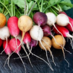 بذر تربچه ایستر میکس