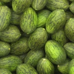 بذر خربزه پوست سبز