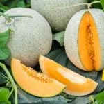 بذر طالبی سمسوری