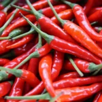 بذر فلفل تند چیلی
