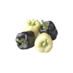 بذر فلفل دلمه ای معمولی مشکی سفید از انواع فلفلهایی هستند که توسط اصلاح نژاد به این رنگ درآمده اند.