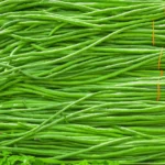 بذر لوبیا نودلی