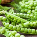 بذر نخودفرنگی