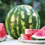 بذر هندوانه کریمسون