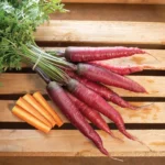 بذر هویج بنفش