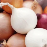 بذر پیاز میکس