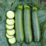 بذر کدو خورشتی سبز