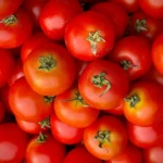 بذر گوجه فرنگی امین