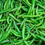 با کاشت بذر فلفل شیرین سبز یک فلفل بسیار شیرین خواهید داشت.