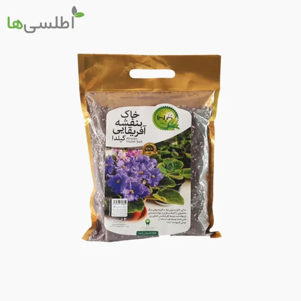 خاک بنفشه آفریقایی گیلدا 2 لیتر