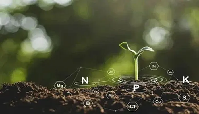 کوئهای شیمایی شامل فسفر و نیتروژن و پتاسیم است.
