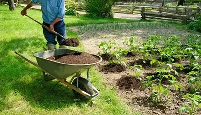 بهترین کود برای زمین کشاورزی