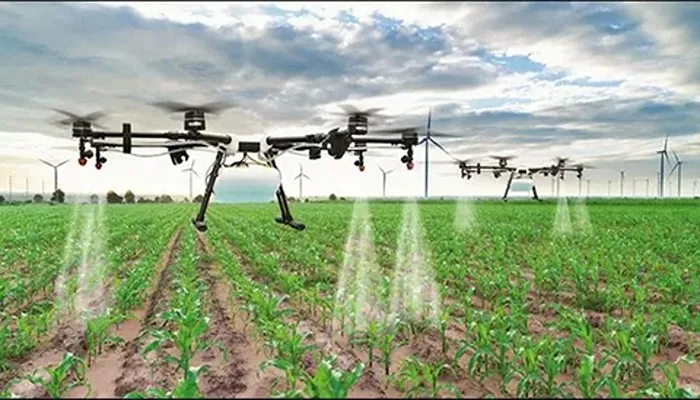 بهترین کود برای زمین کشاورزی