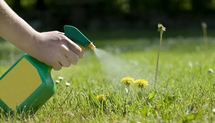 بهترین سم علف کش برای باغ