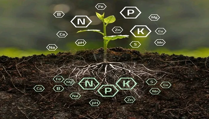 نقش نیتروژن در تقویت خاک و رشد گیاهان
