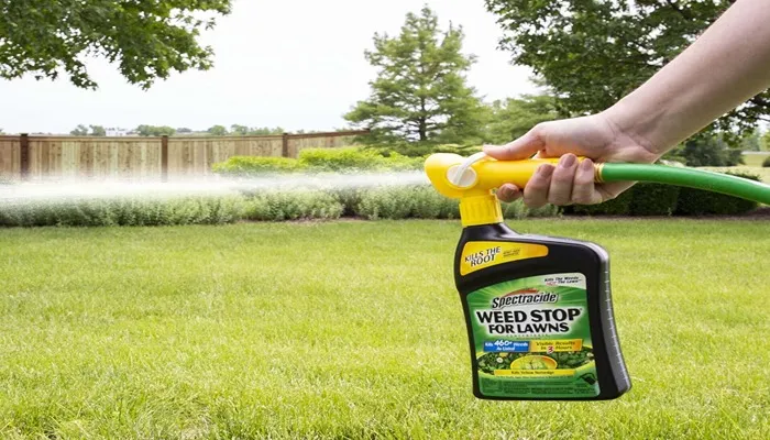 بهترین سم علف کش برای باغ 3 بهترین زمان و نکات ایمنی استفاده