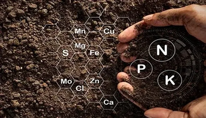 مواد معدنی تقویت خاک
