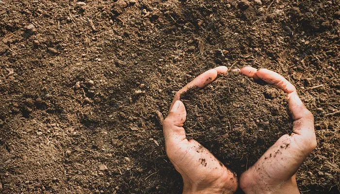 عناصر ضروری خاک
