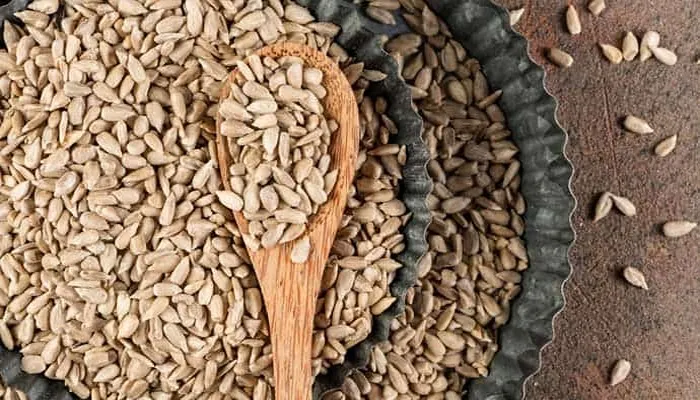 خرید بذر دانه های روغنی 3 بهترین فروشگاه بذر دانه های روغنی، بذر آفتابگردان